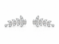 Silver Leaf Climbers